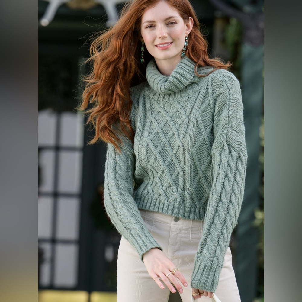 Altar’d State Chunky Turtleneck Sweater